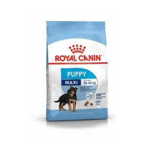 image?
